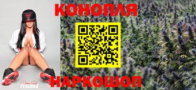 бошки Будённовск