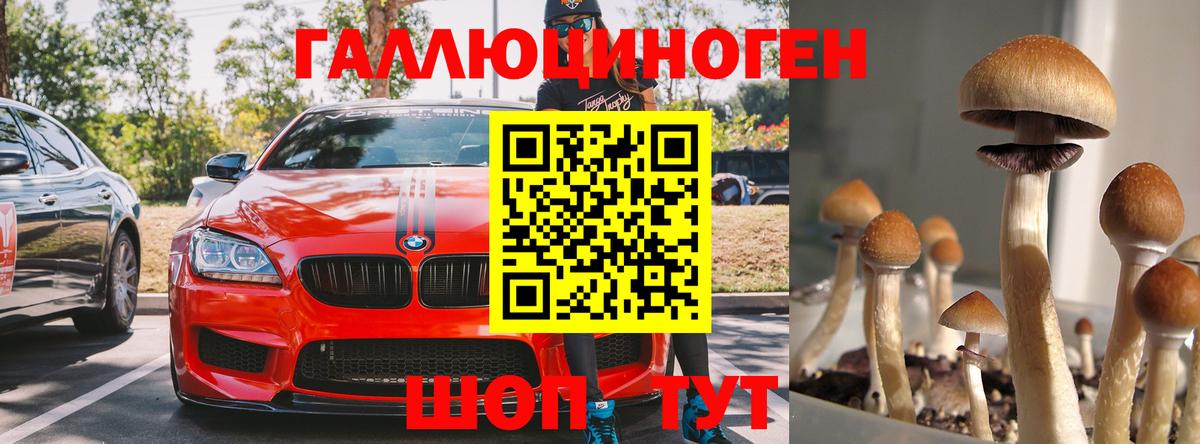 Галлюциногенные грибы Magic Shrooms  Вход с VPN  Рязань 